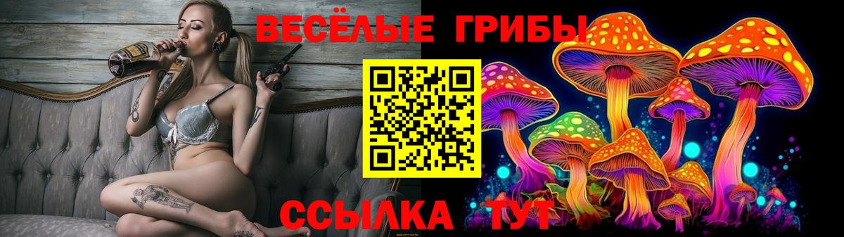 Галлюциногенные грибы Psilocybe  Вход с VPN  Москва 
